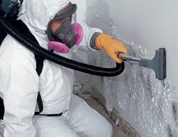 Mold Remediation for Vacation Homes in Schuylerville, NY